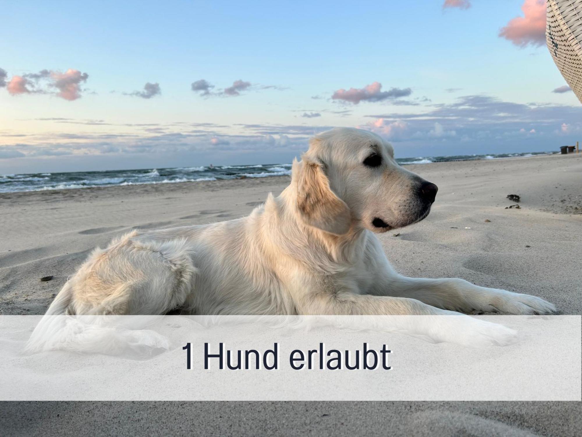 3 Zimmer App Duenengarten Fewo 58 Кюлунгсборн Экстерьер фото
